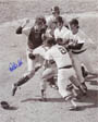 Carlton Fisk Autograph teams Memorabilia On Main Street, Click Image for More Info!