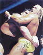 Hulk Hogan Autograph Sports Memorabilia, Click Image for more info!