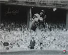 Sandy Koufax Autograph Sports Memorabilia, Click Image for more info!