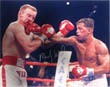 Micky Ward Autograph Sports Memorabilia, Click Image for more info!