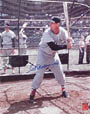 Ted Williams Autograph Sports Memorabilia, Click Image for more info!